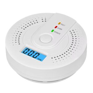 Carbon Monoxide Detector - Alarm